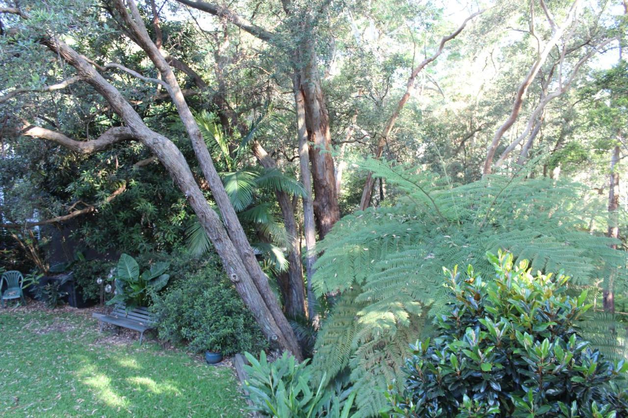 Bushland Setting Close To Sydney Cbd- Stand Alone Apartment Exterior foto